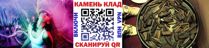 Купить где  Новоуральск  ГАШ Ice-O-Lator 